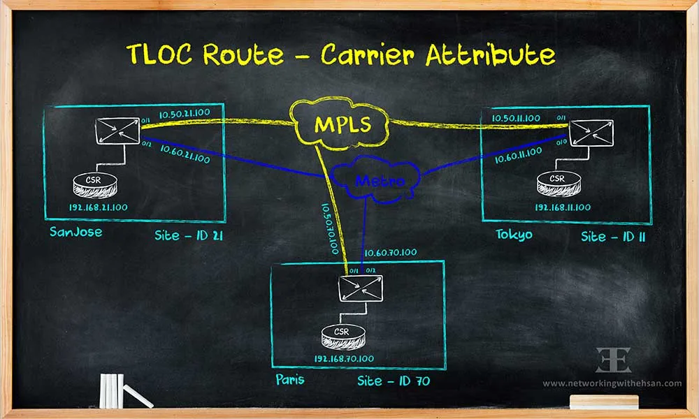 TLOC Route - Carrier Attribute